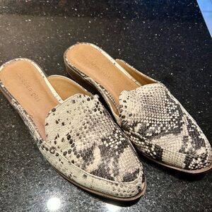 Madden Girl Women's Snake Pattern Mules